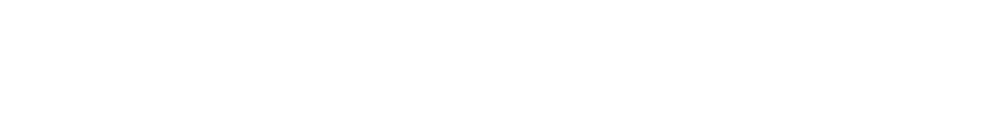 CyberSectr
